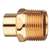 1 Wrot Fitting X M Adapter