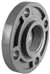 2 CPVC Schedule 80 Thread Flange