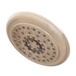 1.75 GPM Fixed Showerhead