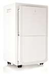 Dehumidifier 50 PT