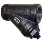2-1/2 Cast Iron 250 # Thread 20 Mesh Wye Strainer