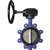 4 Ductile Iron Stainless Steel EPDM 255# Lug Butterfly Valve Gear Operator