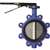 2-1/2 Ductile Iron Stainless Steel EPDM 255# Lug Butterfly Valve