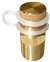 Not For Potable Use 1/4 Pressure & Temp TEST Plug