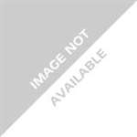 4200PSI PRES WSHR