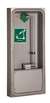 Surface PD Eye Wash Stainless Steel