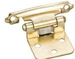 Flush Hinge 1 PR With SCRW & Pad PB