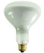 300W 12 Volts Bulb R40 Medium Base