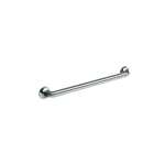 TRAN 24 Grab Bar