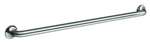 TRAN 36 Grab Bar