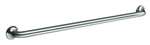 TRAN 42 Grab Bar