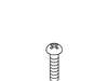 Screw