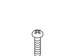 Screw