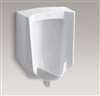1/8 Gallons Per Flush Rear Spud Urinal Bardon White