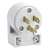 15A 125V PVC ANG Grounded Plug White