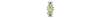 15A 125V Decora DUP Receptacle Ivory