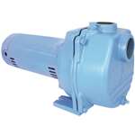 1HP 115/230V Lawn SPKLR Pump