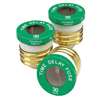 30 AMP Time Delay Plug Fuse