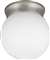 6 LED 3000CCT Built in GLOBE