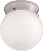 6 LED 3000CCT WHITL GLOBE