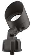 LED SPOT Light 30K LAMP COLOR