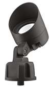 LED SPOT Light 50K LAMP COLOR