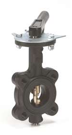 Lead Law Compliant Not Certified 2-1/2 Cast Iron 200 # Bronze EPDM Lug Butterfly Valve