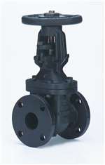 2 Cast Iron 125# Flanged Outside Stem & Yoke Gate Valve