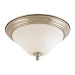 Brushed Nickel 1 Light 100 Watts A 19 Flush *dupont