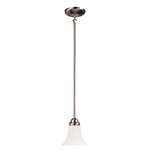 Brushed Nickel 1 Light 60 Watts A 19 Mini Pendant *dupont