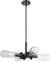 AGBR 4 60 Watts T9 Light *BEAKER