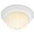 TEWH 2 Light 60 Watts A 19 Flush Frost Mel