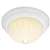 TEWH 2 Light 60 Watts A 19 Flush Frost Mel