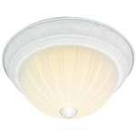 TEWH 2 Light 60 Watts A 19 Flush Frost Mel