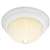 TEWH 3 Light 60 Watts A 19 Flush Frost Mel
