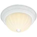 TEWH 3 Light 60 Watts A 19 Flush Frost Mel