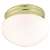 Polished Brass 1 60 Watts A 19 Medium Flush *util Mushroom Glass