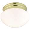 Polished Brass 1 60 Watts A 19 Medium Flush *util Mushroom Glass