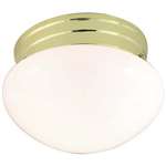 Polished Brass 1 60 Watts A 19 Medium Flush *util Mushroom Glass