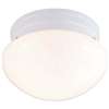 White 1 Light 60 Watts A 19 Flush Utl Mushroom
