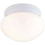 White 1 Light 60 Watts A 19 Flush Utl Mushroom