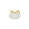 Polished Brass 1 60 Watts Medium Flush Mount With Frost Shade