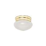 Polished Brass 1 60 Watts Medium Flush Mount With Frost Shade