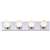 Polished Chrome 4 Light 100 Watts Type G Vanity Strip Light