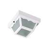 White 1 60 Watts A 19 Flush Mount