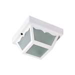 White 1 60 Watts A 19 Flush Mount