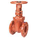 2-1/2 Ductile Iron UL FM Flanged Outside Stem & Yoke RW Gate