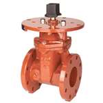 4 Ductile Iron 250 # UL FM Flanged Non-Rising Stem RW Gate