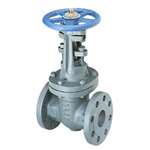 8 Cast Iron 250 # Flanged Outside Stem & Yoke Gate