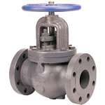 Not For Potable Use 3 Cast Iron 250 # Flanged Globe